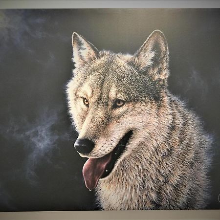 White Wolf Apartment Brassó Kültér fotó