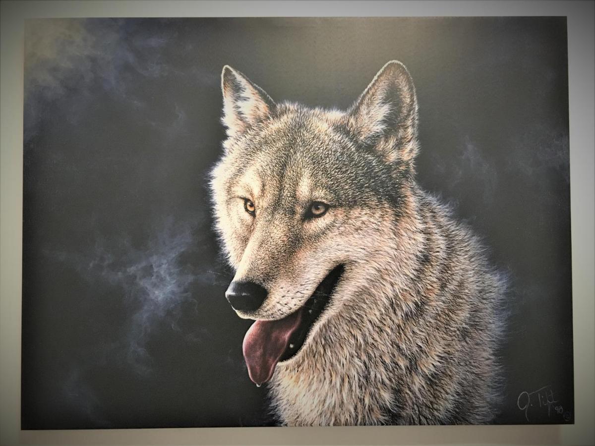 White Wolf Apartment Brassó Kültér fotó
